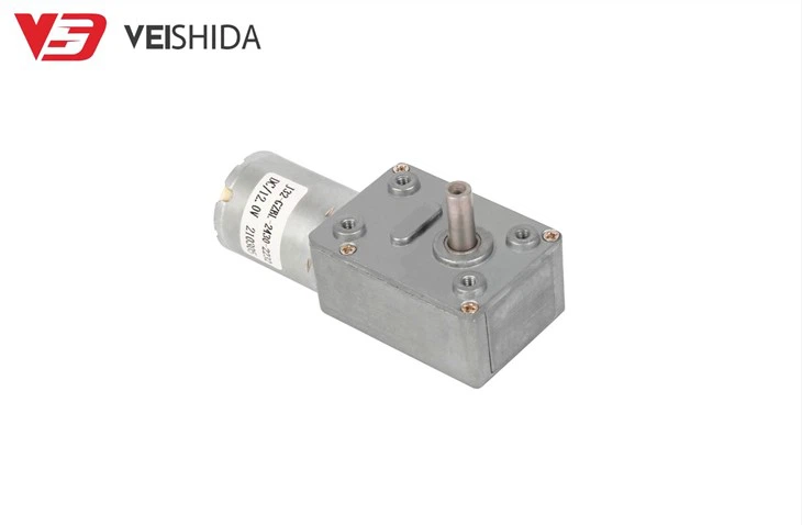 370 DC Worm Gear Motor