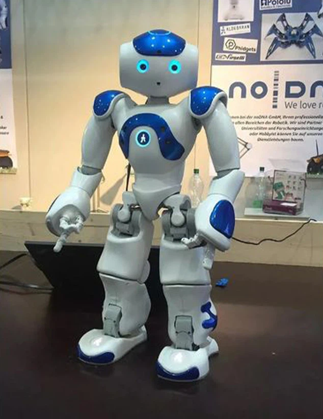 NAO robot NAO robot