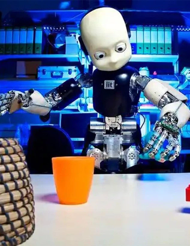 iCub robot iCub robot